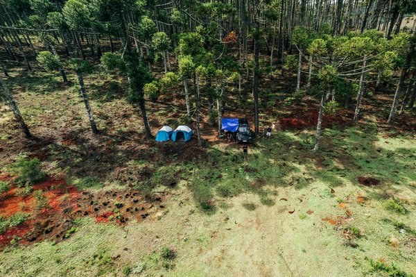 Comment découvrir les traditions culinaires des îles Canaries : itinéraires et dégustations ?
